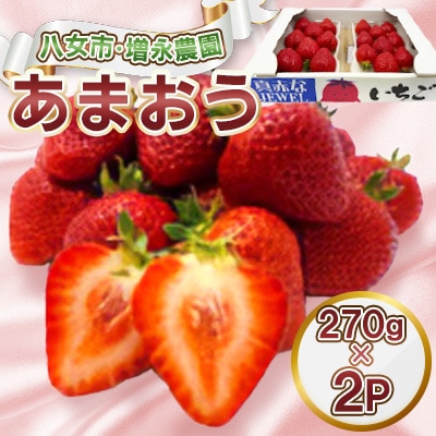 【2026年1月より順次配送】八女・増永農園のあまおう　270g×2パック