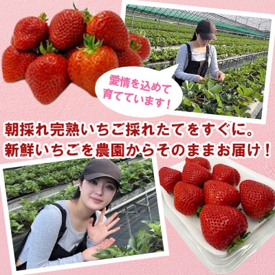 【2026年1月より順次配送】八女・増永農園のあまおう　270g×2パック