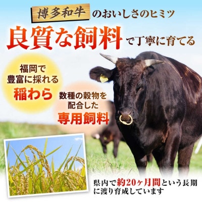 訳あり!【A4～A5】博多和牛しゃぶしゃぶすき焼き用(肩ロース肉・肩バラ・モモ肉)5kg(八女市)