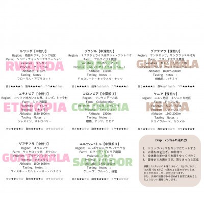 スペシャルティコーヒー豆100g×3種類【あっさり】※豆のまま