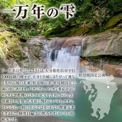 ミネラルウォーター 一万年の雫 軟水 (500ml×24本・2L×6本) 