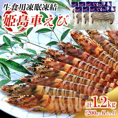 生食用凍眠凍結姫島車えび(養殖)約200g(6尾～10尾)×6パック A3