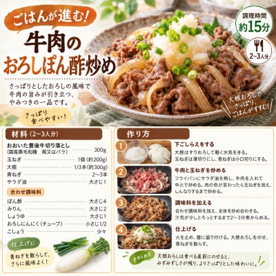 おおいた豊後牛切り落とし500g(姫島村)