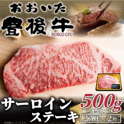 おおいた豊後牛サーロインステーキセット500g(250g×2枚)(姫島村)