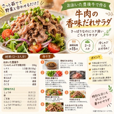 訳あり!おおいた豊後牛しゃぶしゃぶすき焼き用(肩ロース肉・肩バラ肉・モモ肉)700g(姫島村)