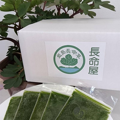 姫島村産 長命草 ペースト 1箱(30袋入り)
