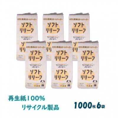 【2ヵ月毎定期便】ちり紙【リリーフ】1000枚x6袋 全3回