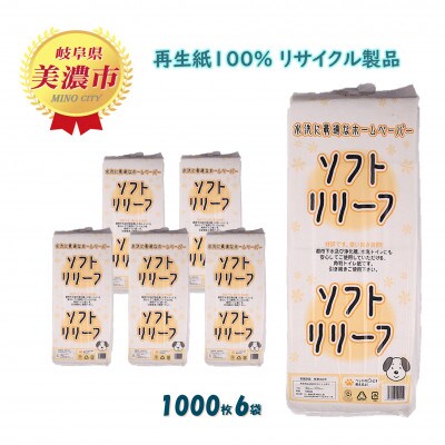 【毎月定期便】ちり紙【リリーフ】1000枚x6袋 全12回