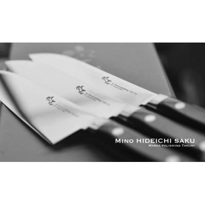 美濃 英一作モリブデン鋼VG-1ペティナイフ120mm