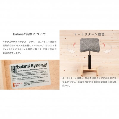 バランス シナジー ラウンドシート 日本製 [シックグレー]