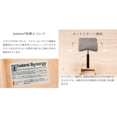 バランス シナジー　スクエアシート(カバー付き)[本体:シックブラウン/カバー:ベージュ]