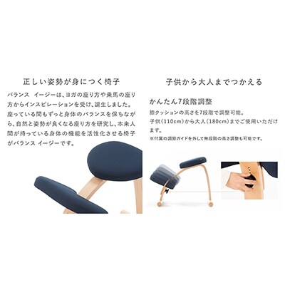 バランスイージー ショート[ネイビー]カバー付+イージーライティング 