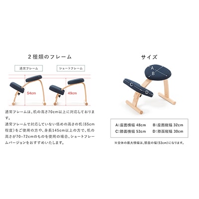 バランスイージー 通常[ブラック]+イージーライティングボードM【複数個口で配送】