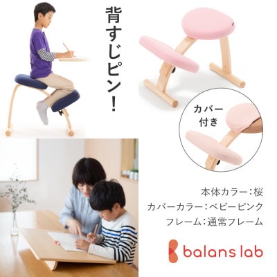 バランス イージー 通常フレーム(カバー付き)バランスチェア