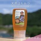 300g 深田養蜂の天然蜂蜜 国産蜂蜜 非加熱 生はちみつ 岐阜県 美濃市産 春 A9