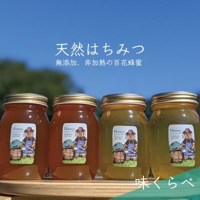 合計2400g 深田養蜂の天然蜂蜜  非加熱 生はちみつ 岐阜県 美濃市産 味比べ4本セット C4