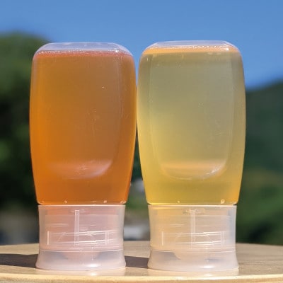 合計600g 深田養蜂の天然蜂蜜  非加熱 生はちみつ 岐阜県 美濃市産 味比べ2本セット C5