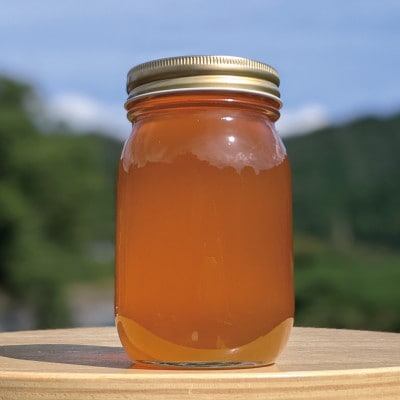 600g 深田養蜂の天然蜂蜜 国産蜂蜜 非加熱 生はちみつ 岐阜県 美濃市産 春 A5
