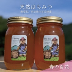 合計1200g 深田養蜂の天然蜂蜜 国産蜂蜜 非加熱 生蜂蜜 岐阜県 美濃市産 春 A6