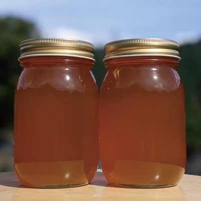 合計1200g 深田養蜂の天然蜂蜜 国産蜂蜜 非加熱 生蜂蜜 岐阜県 美濃市産 春 A6