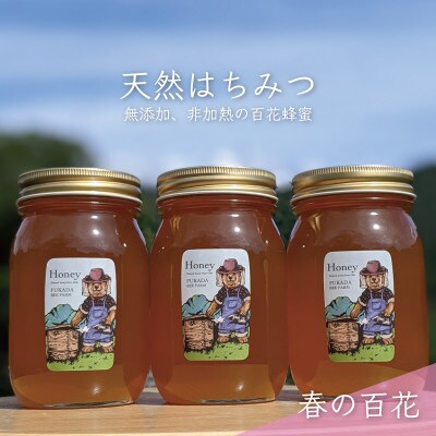 合計1800g 深田養蜂の天然蜂蜜 国産蜂蜜 非加熱 生蜂蜜 岐阜県 美濃市産 春 A7