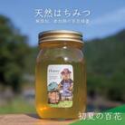 600g 深田養蜂の天然蜂蜜 国産蜂蜜 非加熱 生はちみつ 岐阜県 美濃市産 初夏 B5