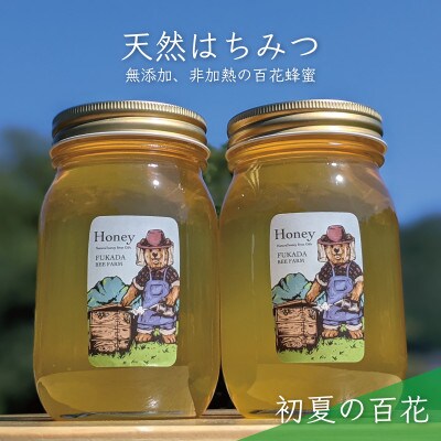 合計1200g 深田養蜂の天然蜂蜜 国産蜂蜜 非加熱 生蜂蜜 岐阜県 美濃市産 初夏 B6