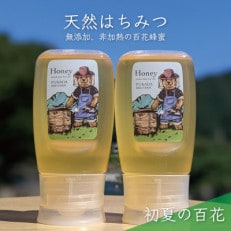 合計600g 深田養蜂の天然蜂蜜 国産蜂蜜 非加熱 生蜂蜜 岐阜県 美濃市産 初夏 B10