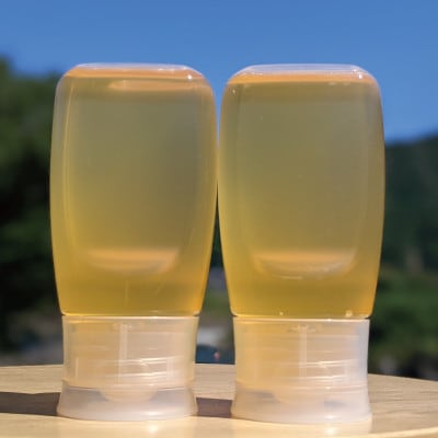 合計600g 深田養蜂の天然蜂蜜 国産蜂蜜 非加熱 生蜂蜜 岐阜県 美濃市産 初夏 B10