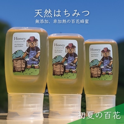 合計900g 深田養蜂の天然蜂蜜 国産蜂蜜 非加熱 生蜂蜜 岐阜県 美濃市産 初夏 B11