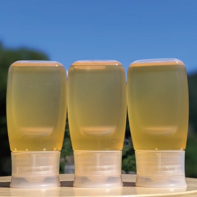 合計900g 深田養蜂の天然蜂蜜 国産蜂蜜 非加熱 生蜂蜜 岐阜県 美濃市産 初夏 B11
