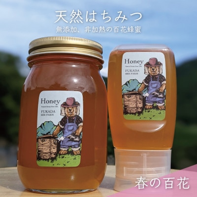 合計900g 深田養蜂の天然蜂蜜 国産蜂蜜 非加熱 生蜂蜜 岐阜県 美濃市産 春 A15