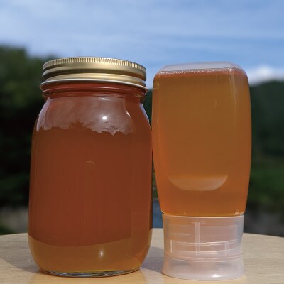 合計900g 深田養蜂の天然蜂蜜 国産蜂蜜 非加熱 生蜂蜜 岐阜県 美濃市産 春 A15