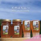 合計1800g 深田養蜂の天然蜂蜜 国産蜂蜜 非加熱 生蜂蜜岐阜県 美濃市産 春 A16