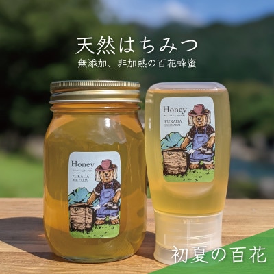 合計900g 深田養蜂の天然蜂蜜 国産蜂蜜 非加熱 生蜂蜜 岐阜県 美濃市産 初夏 B15