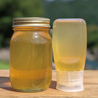 合計900g 深田養蜂の天然蜂蜜 国産蜂蜜 非加熱 生蜂蜜 岐阜県 美濃市産 初夏 B15
