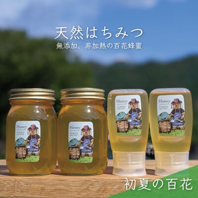 合計1800g 深田養蜂の天然蜂蜜 国産蜂蜜 非加熱 生蜂蜜 岐阜県 美濃市産 初夏 B16