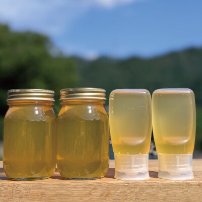 合計1800g 深田養蜂の天然蜂蜜 国産蜂蜜 非加熱 生蜂蜜 岐阜県 美濃市産 初夏 B16