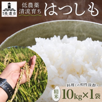 R7年産 先行予約 低農薬と清流で育った安心米『ハツシモ』10kg×1袋 美濃グリーン