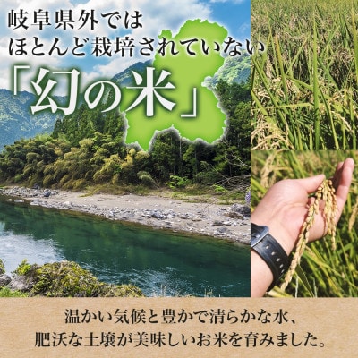 R7年産 先行予約 低農薬と清流で育った安心米『ハツシモ』10kg×1袋 美濃グリーン