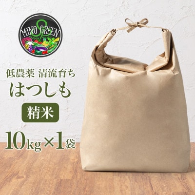 R7年産 先行予約 低農薬と清流で育った安心米『ハツシモ』10kg×1袋 美濃グリーン