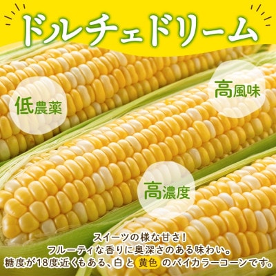 まるでスイーツの様な甘さのとうもろこし「ドルチェドリーム」 300g以上×6本 美濃グリーン