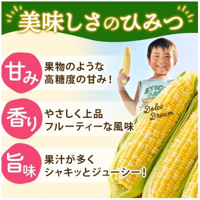 まるでスイーツの様な甘さのとうもろこし「ドルチェドリーム」 300g以上×6本 美濃グリーン