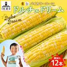 まるでスイーツの様な甘さのとうもろこし「ドルチェドリーム」 300g以上×12本 美濃グリーン