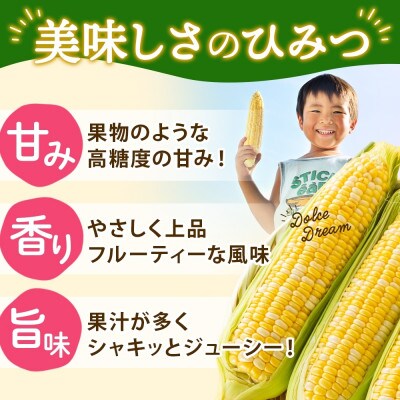まるでスイーツの様な甘さのとうもろこし「ドルチェドリーム」 300g以上×12本 美濃グリーン