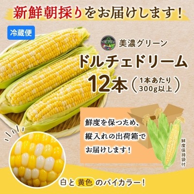 まるでスイーツの様な甘さのとうもろこし「ドルチェドリーム」 300g以上×12本 美濃グリーン