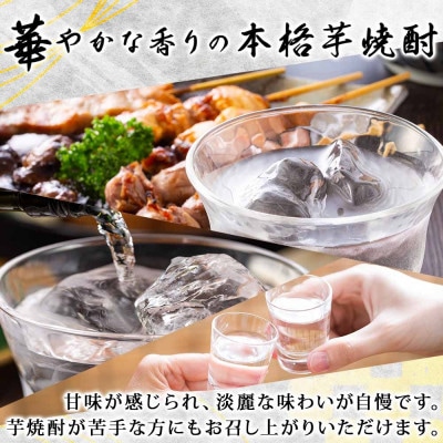 本格芋焼酎 えっきょう(Ekkyo) 25度 720ml×6本 紫屋  岐阜県美濃市
