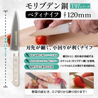 T97 包丁 2本セット 牛刀 210mm ペティナイフ 120mm 竹内刃物製作所 食洗器対応