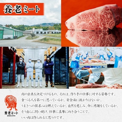 【 飛騨牛 】すき焼きしゃぶしゃぶ用(ロースまたは肩ロース)1kg 霜降り 黒毛和牛(牛脂付)