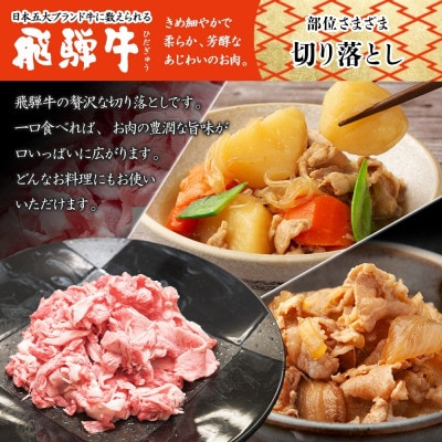 【 飛騨牛 】切り落とし 280g×1P 黒毛和牛 BBQにも 養老ミート